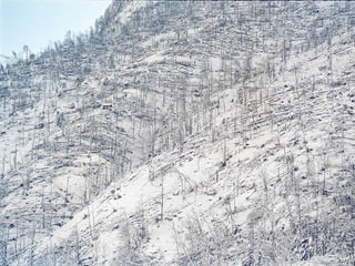 Sturmschaeden des Orkans Lothar in Grafenort im Kanton Nidwalden, aufgenommen am 29. Dezember 1999.