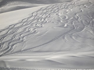 Frische Skispuren im Neuschnee.