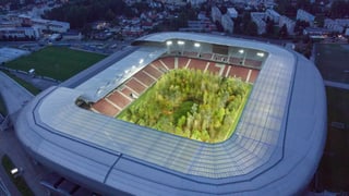 Das Bild eines Stadions, in dem innendrin Bäume gepflanzt wurden.