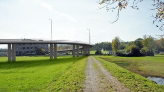 Eine Bahnüberführung über einer Wiese, davor ein Feldweg.