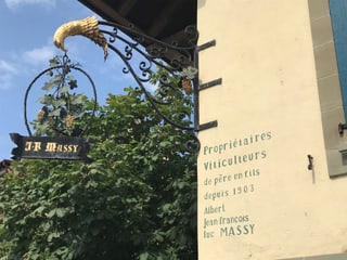 Die Fifres et Tambours sind beim Winzer Luc Massy einquartiert, der zu den besten Vignerons des Lavaux gehört.