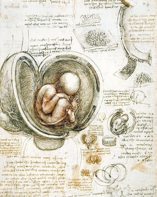 Skizzen von da Vinci: Unter anderem ein Fötus im Mutterleib