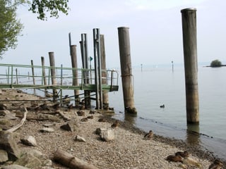 Steg am Ufer eines Sees mit viel zu wenig Wasser. Der Steg ragt weit über der Wasseroberfläche hinaus. 