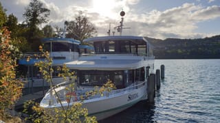 Zwei angelegte Schiffe auf dem Hallwilersee Zwei angelegte Schiffe auf dem Hallwilersee