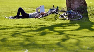 Ein Mann liegt neben seinem Velo im park am Zürisee auf der Wiese und liest Zeitung. (keystone)