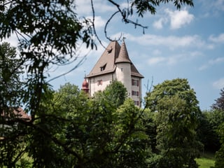 Ein Schloss hinter Bäumen.