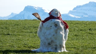 Tauwetter: Reste eines Schneemannes auf grünen Wiese. Im Hintergrund Schnee in den Alpen.