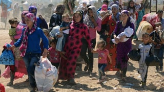 Flüchtlinge verlassen Syrien mit Hab und Gut. 