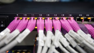 Ethernet-Kabel an einem Server. 