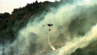 Ein Helikopter versucht mit Wasser den Waldbrand zu löschen.