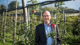Urs Niggli, Direktor des Forschungsinstituts für biologischen Landbau (FiBL) in Frick Urs Niggli, Direktor des Forschungsinstituts für biologischen Landbau (FiBL) in Frick