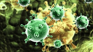 Illustration von grünen Viren und Zellen. 
