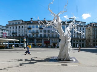Ein weisser Baum steht inmitten eines öffentlichen Platzes.