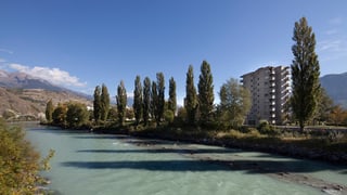 Fluss und Bäume