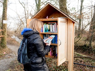 Frau nimmt ein Buch aus dem Bücherhäuschen im Wald.