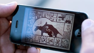 Eine Zeichnung auf einem Handy zeigt zwei kopulierende Esel.