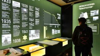 Frau in einer Ausstellung Frau in einer Ausstellung