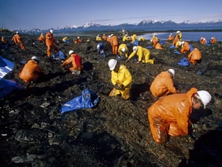 Dutzende Leute reinigen die Küste