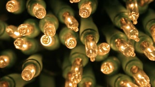 Viele kleine Birnen einer Lichterkette
