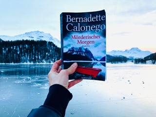 Der Krimi «Mörderischer Morgen» von Bernadette Calonego erscheint vor einem Hintergrund, der mit dem Buchcover harmoniert. Darauf zu sehen: ein See, im Hintergrund Berg, Schnee und Wald. 