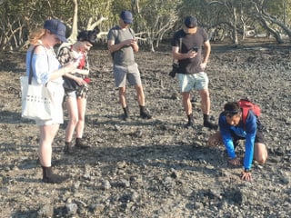 Vier Touristen und Touristinnen beobachten den Guide, wie er am Boden etwas ausgräbt. 