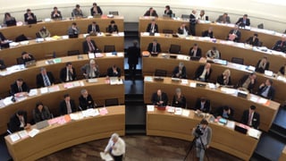 Bild von der Tribüne mit Blick auf die Ratsmitglieder, die im Halbkreis im Ratssaal sitzen.