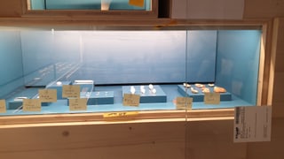 Blau eingekleidete Vitrine mit kleinen archäologischen Objekten Blau eingekleidete Vitrine mit kleinen archäologischen Objekten