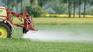 Pestizid wird versprüht.