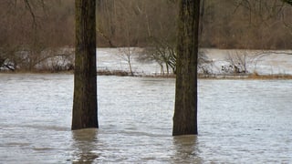 Bach mit Hochwasser