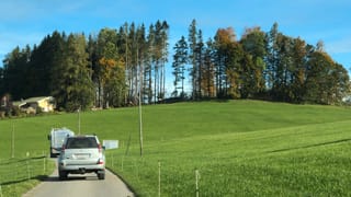 Sturmschäden im Schluchwald in Stein ein Jahr nach dem Sturm Vaia Sturmschäden im Schluchwald in Stein ein Jahr nach dem Sturm Vaia
