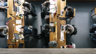 Symbolbild: Studenten am Arbeitstischen von oben fotografiert. Symbolbild: Studenten am Arbeitstischen von oben fotografiert.