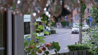 Blick durch ein Fenster auf die Strasse.