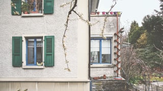 ein Haus und eine rote Katzenleiter ein Haus und eine rote Katzenleiter