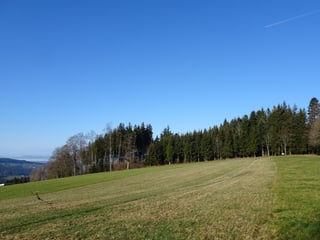 Anhöhe auf dem Stierenberg im Kanton Luzern