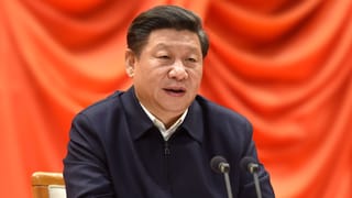 Xi spricht in Mikrofone, er sitzt vor einem orangen Tuch.