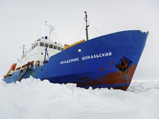 «MV Akademik Shokalskiy» steckt im Eis fest