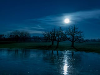 Nacht, nur der Mond scheint, aber sehr hell. Zu sehen ist eine Natureisfläche, dahinter Bäume. 