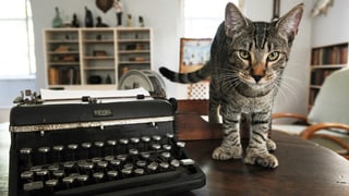 Eine alte Schreibmaschine auf einem Holztisch, daneben eine Katze.