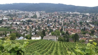 Blick von oben auf Wettingen, im Vordergrund Weinreben