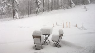 Schnee auf Stühlen und Gartentisch in der Nähe eines Waldrandes.