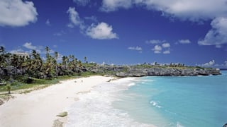 Ein Strand auf Barbados.