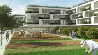 Rendering einer Wohnanlage. Davor ein Garten mit Menschen, Kühen und Pferden. Rendering einer Wohnanlage. Davor ein Garten mit Menschen, Kühen und Pferden.