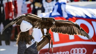 Das Bild zeigt eine Frau, die einen Adler hält. 