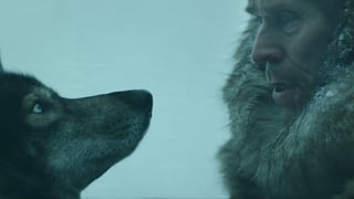 Nahaufnahme der Profile eines Schlittenhundes und seines Herrchen (verkörpert von Willem Dafoe). Nahaufnahme der Profile eines Schlittenhundes und seines Herrchen (verkörpert von Willem Dafoe).