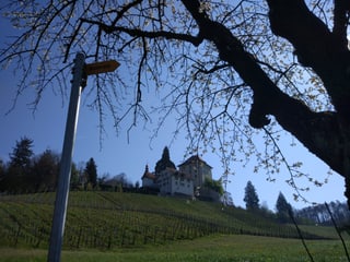 Schloss Heidegg.