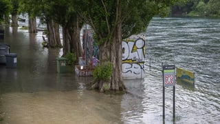 Ein Bild des Rhone-Ufers nahe Genf