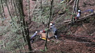 Männer und Frauen bergen eine verunglückte Transportseilbahn in einem steilen Waldstück.