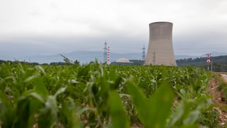 AKW Gösgen hinter Wiese AKW Gösgen hinter Wiese