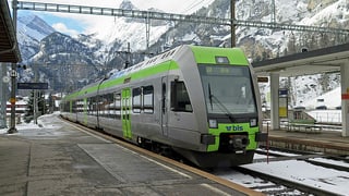 Ein Zug im Bahnhof.