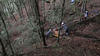 Einsatzkräfte bergen in einem Wald die in Innerthal abgestürzte Transportseilbahn.
